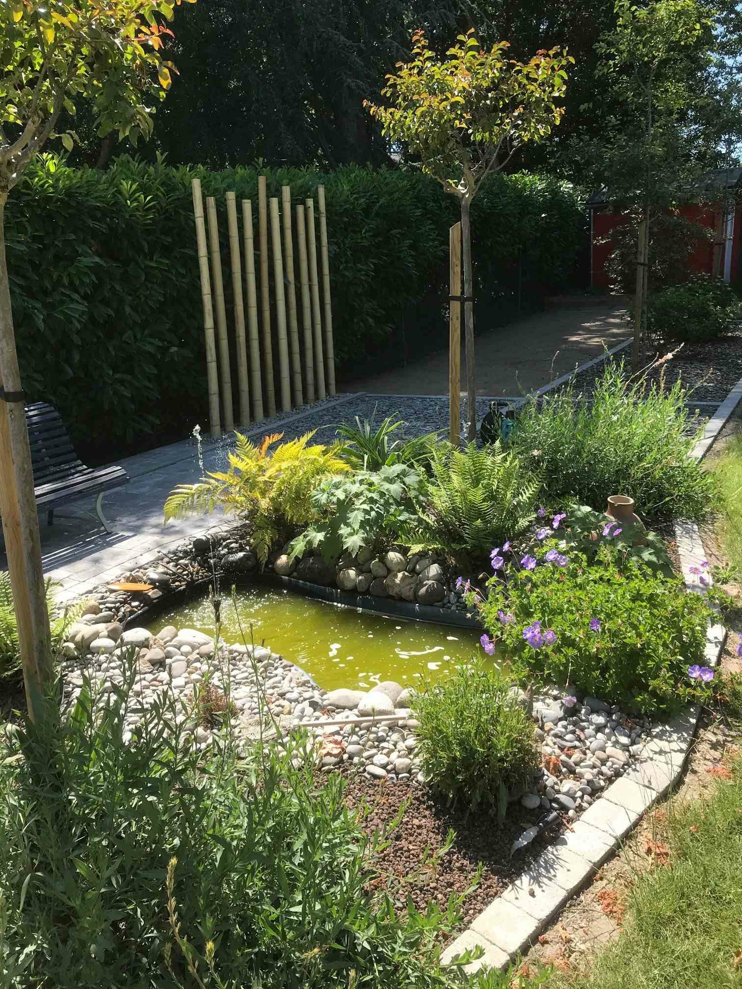 creation jardin marre beaucouzé