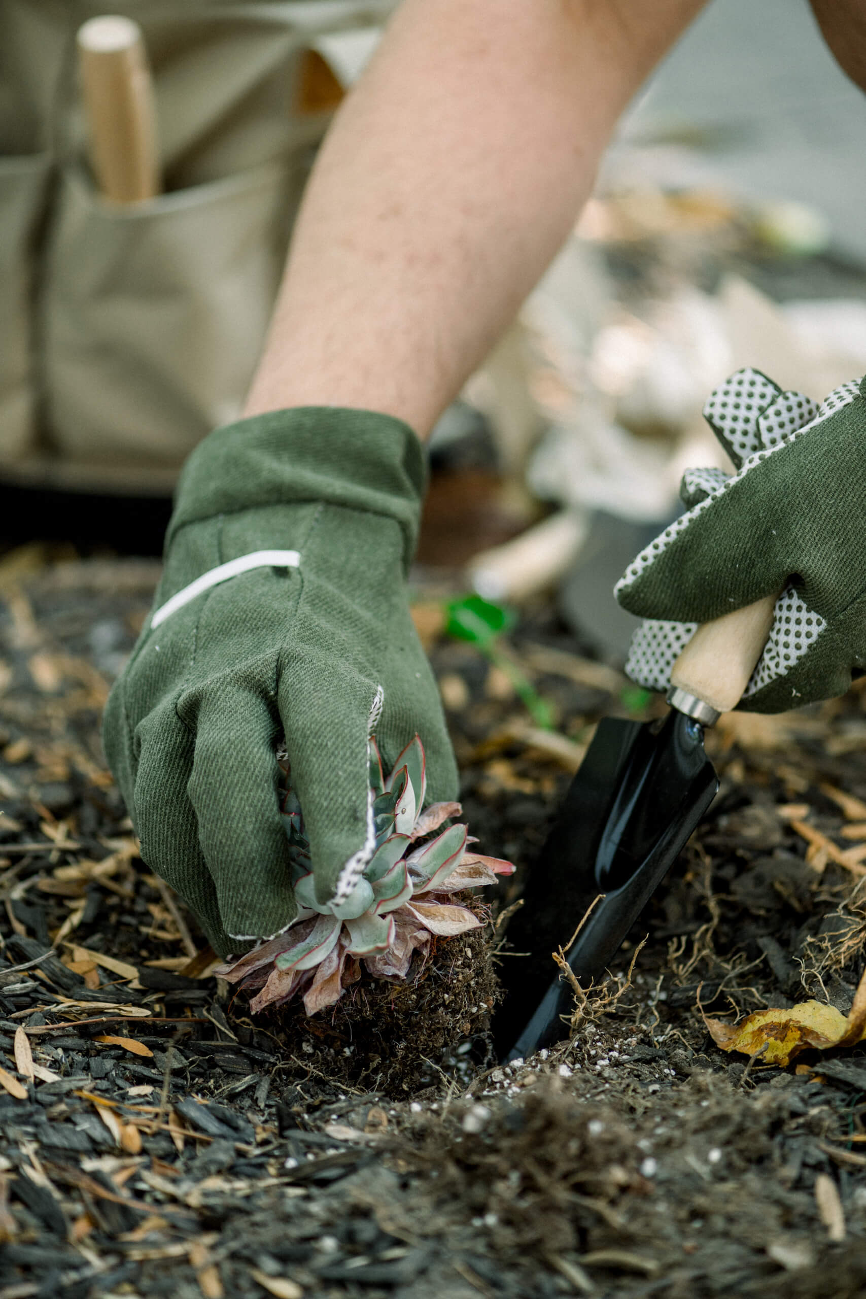 gardening-11