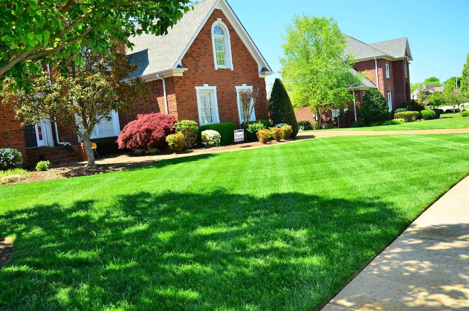 grass-lawn-flower-home-backyard-property-754952-pxhere.com (1)